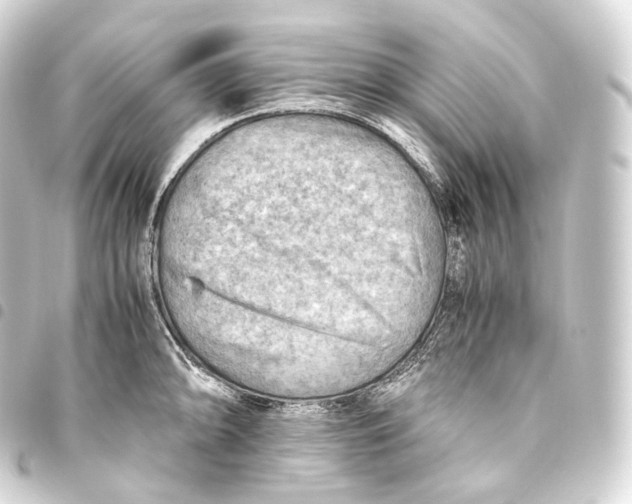 X0000093441094200711021049