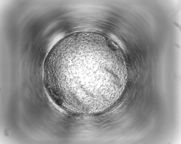 X0000093441095200711021049