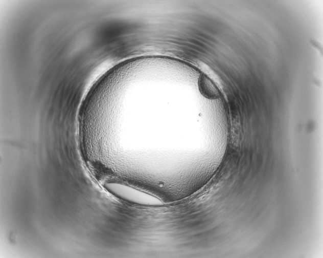 X0000093441096200711021049