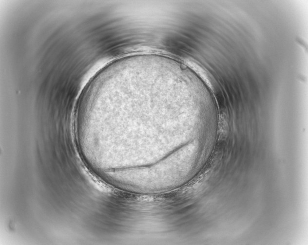 X0000093441098200711021049