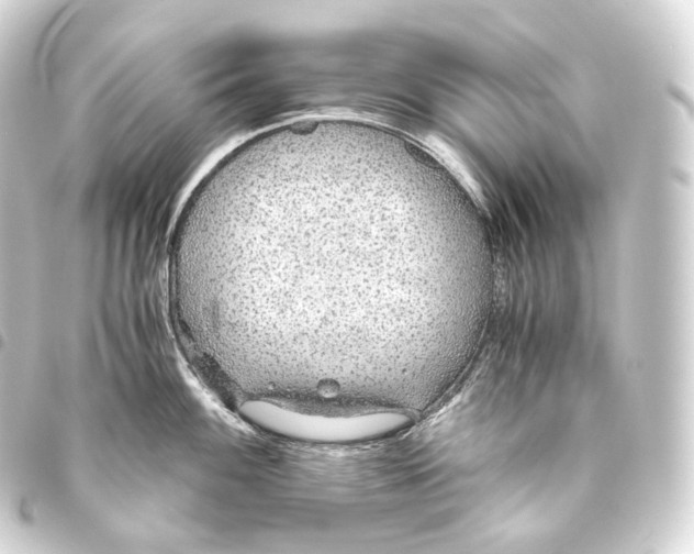 X0000093441100200711021049