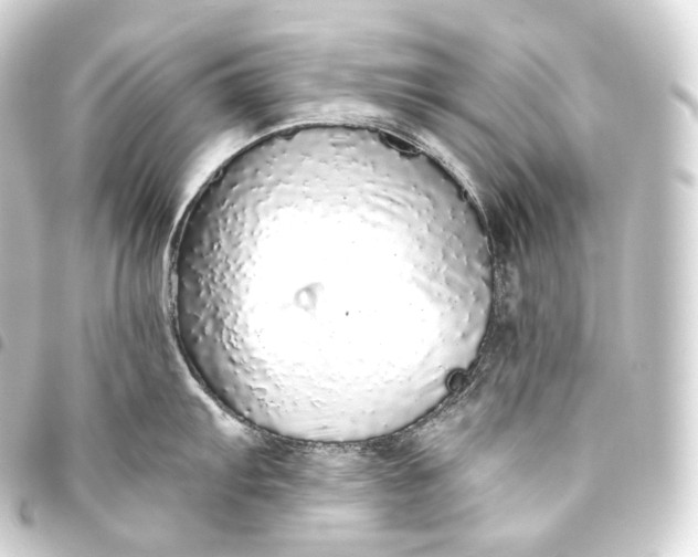 X0000093441103200711021049