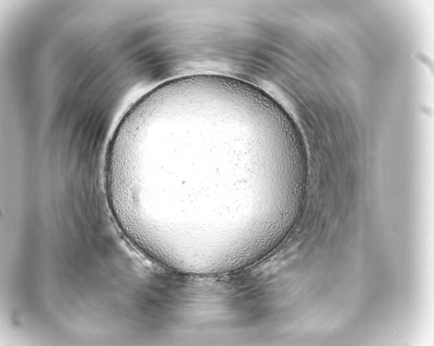 X0000093441104200711021049