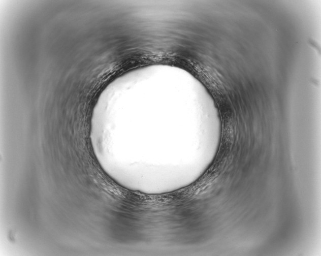 X0000093441105200711021048