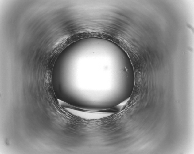 X0000093441110200711021048