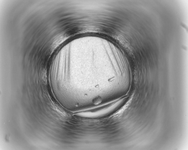 X0000093441113200711021048