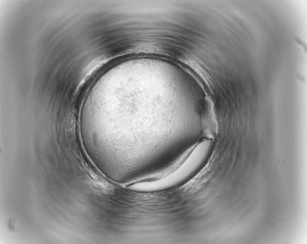 X0000093441115200711021048