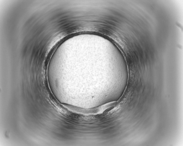 X0000093441119200711021048