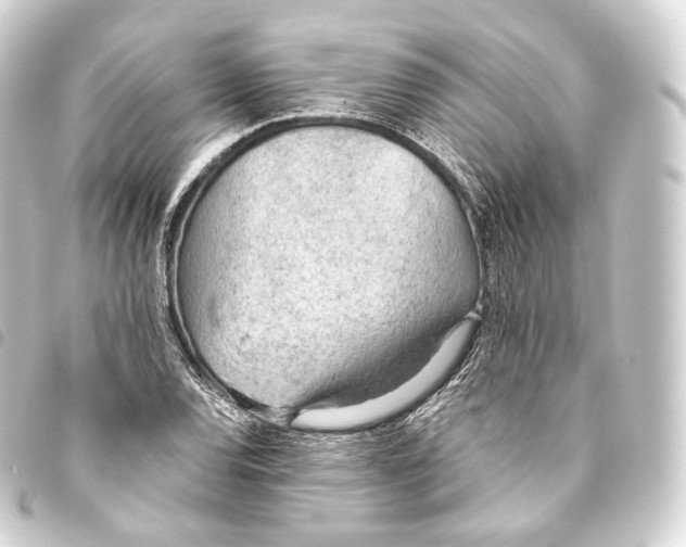 X0000093441120200711021048