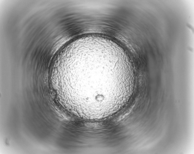 X0000093441121200711021048