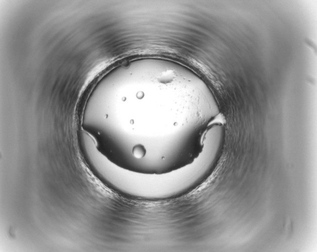 X0000093441122200711021048