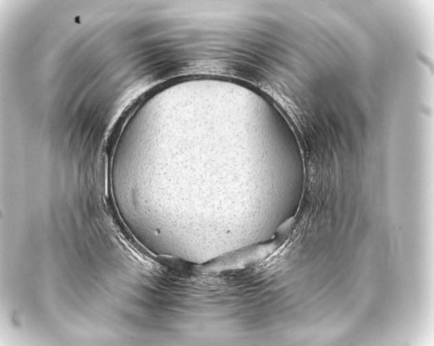 X0000093441123200711021048