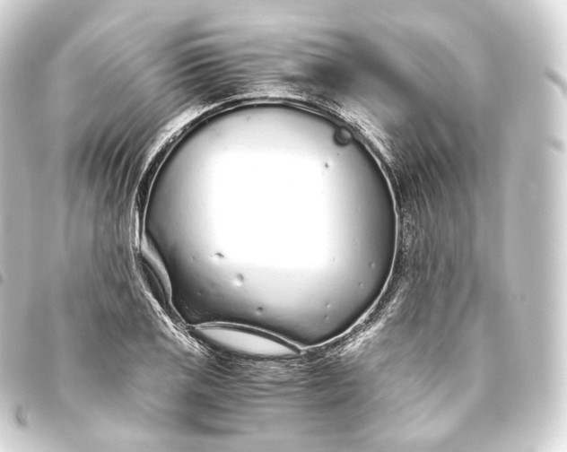 X0000093441125200711021049