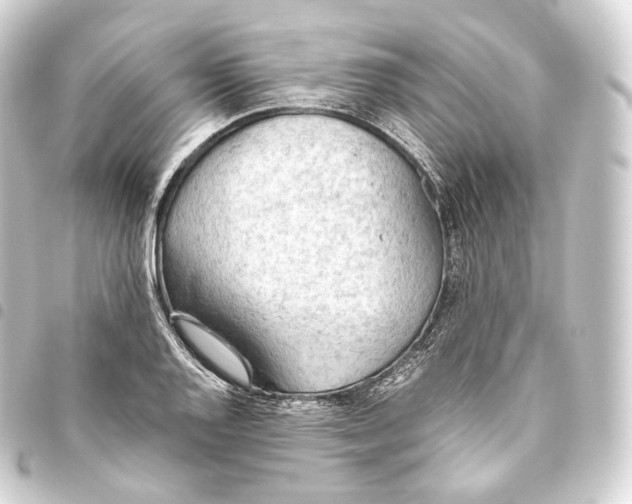 X0000093441128200711021049