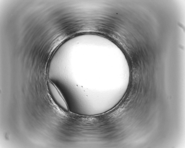 X0000093441129200711021049