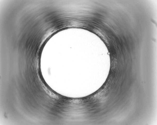 X0000093441130200711021049