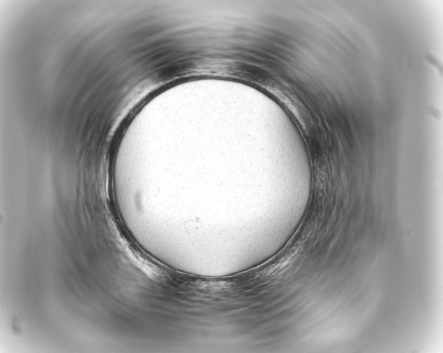 X0000093441131200711021049