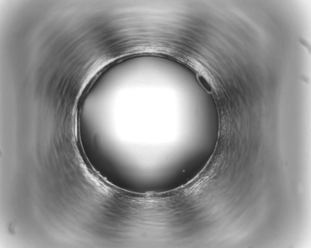 X0000093441132200711021049