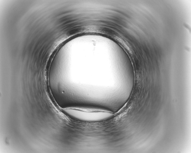 X0000093441133200711021049