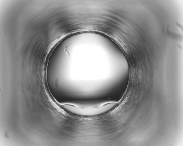 X0000093441134200711021049