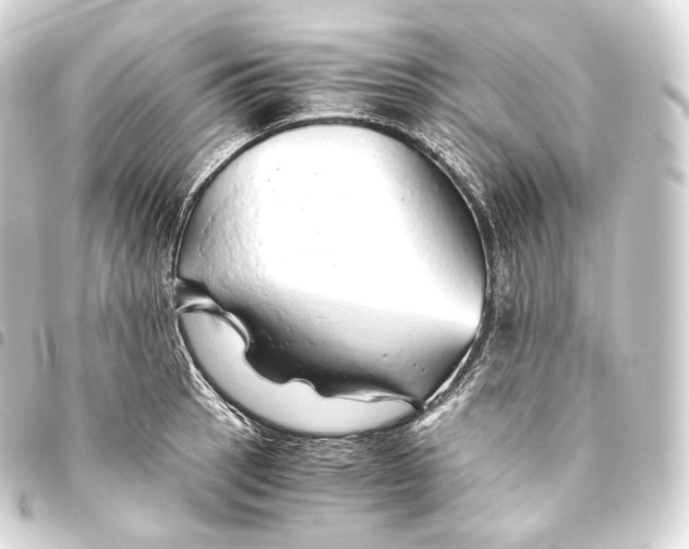 X0000093441137200711021049