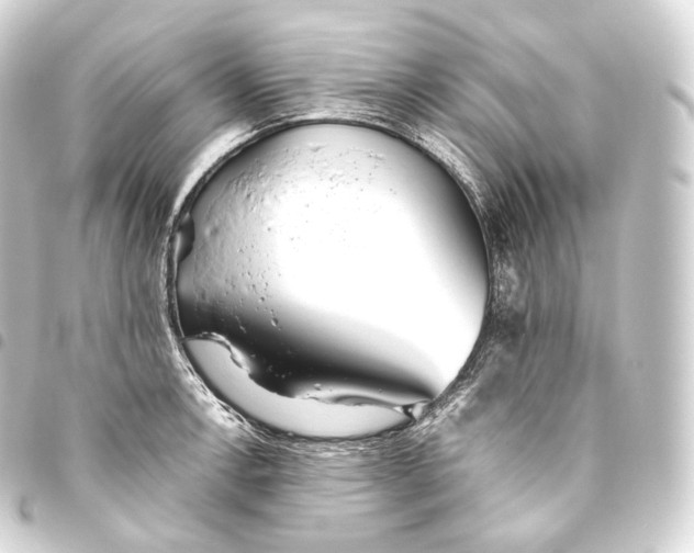 X0000093441138200711021049