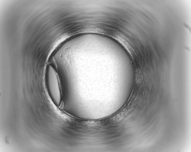 X0000093441139200711021049