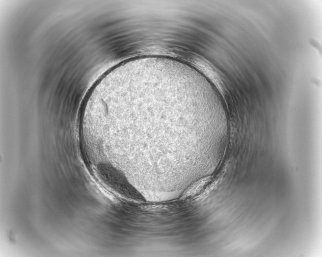 X0000093441141200711021049