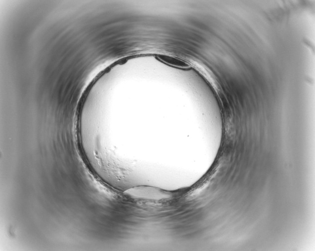 X0000093441149200711021049