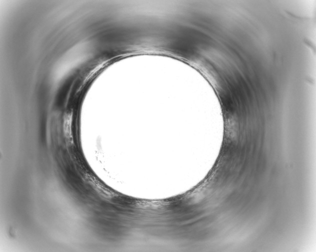 X0000093441150200711021049