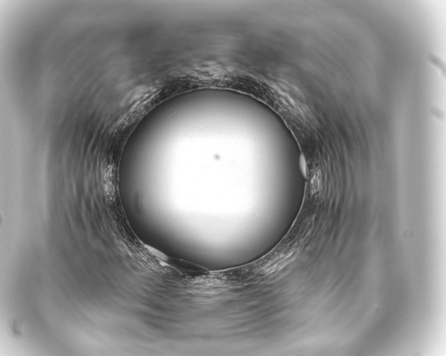 X0000093441156200711021048