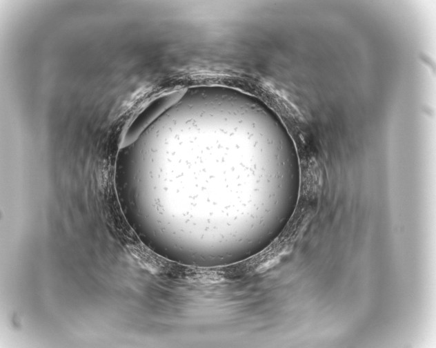 X0000093441157200711021048