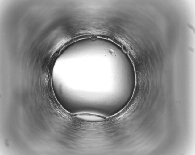 X0000093441163200711021048