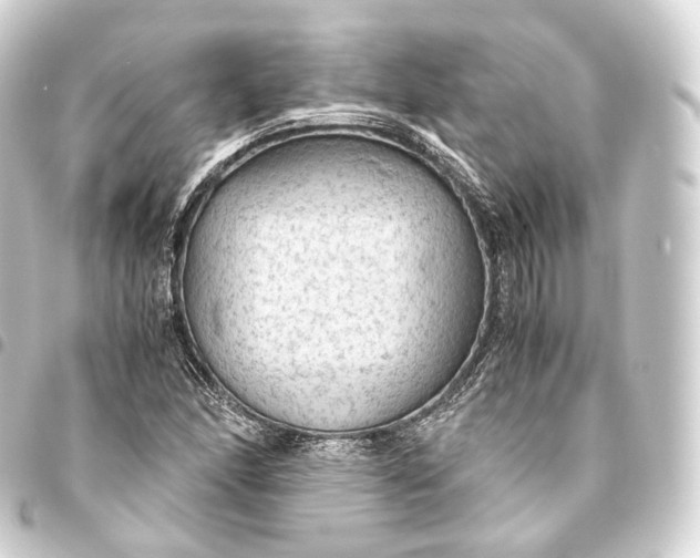 X0000093441166200711021048