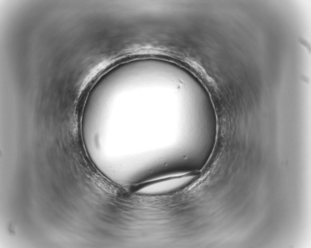 X0000093441167200711021048