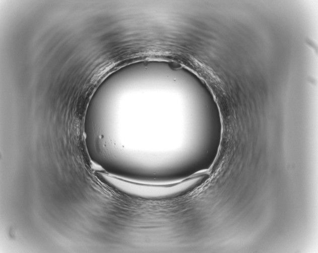 X0000093441169200711021048