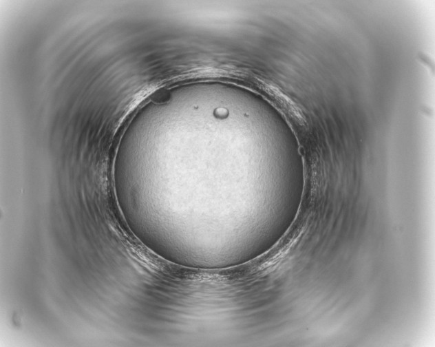 X0000093441170200711021048