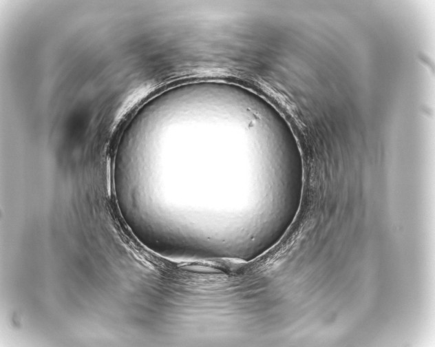 X0000093441171200711021048