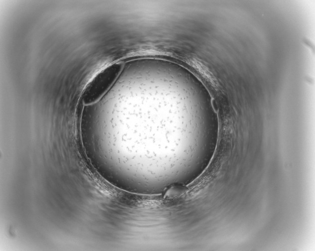 X0000093441173200711021048