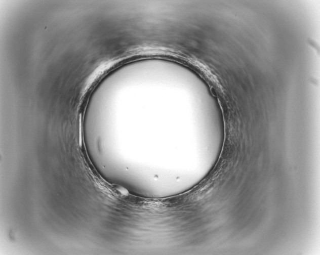 X0000093441175200711021048