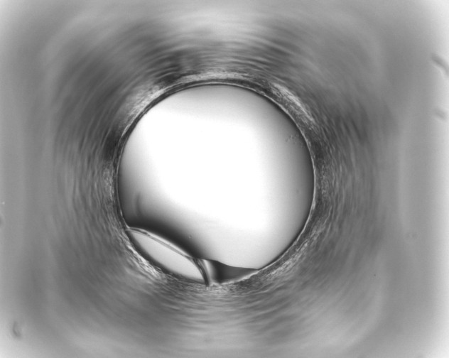 X0000093441177200711021048