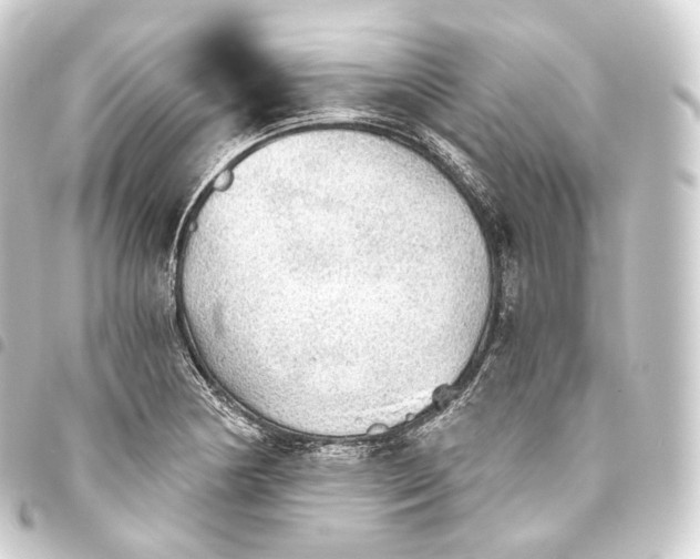 X0000093441178200711021048