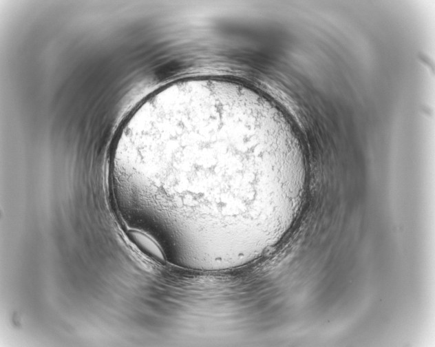 X0000093441179200711021048