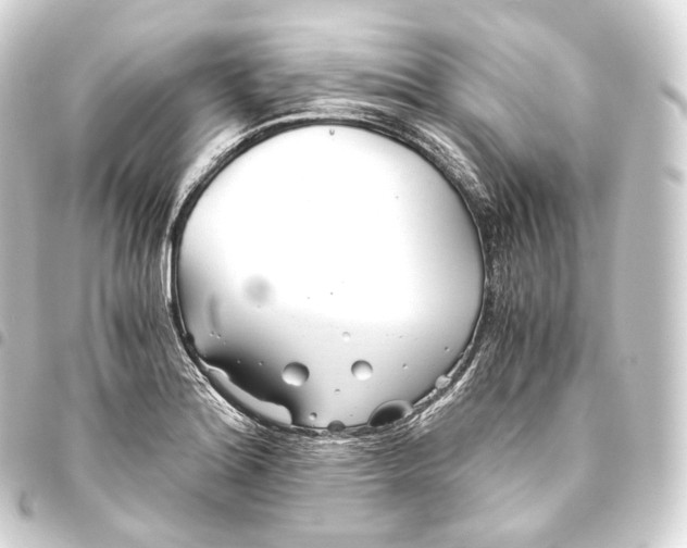 X0000093441180200711021048