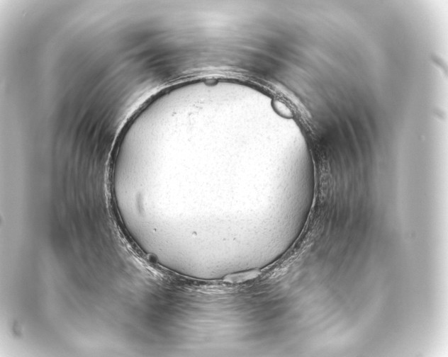 X0000093441182200711021048