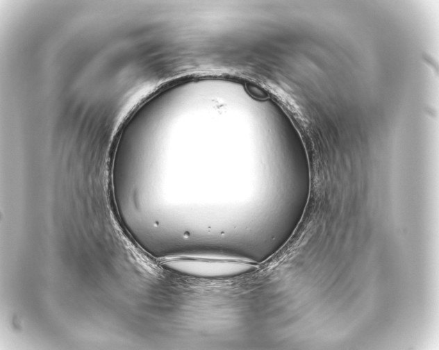 X0000093441183200711021048