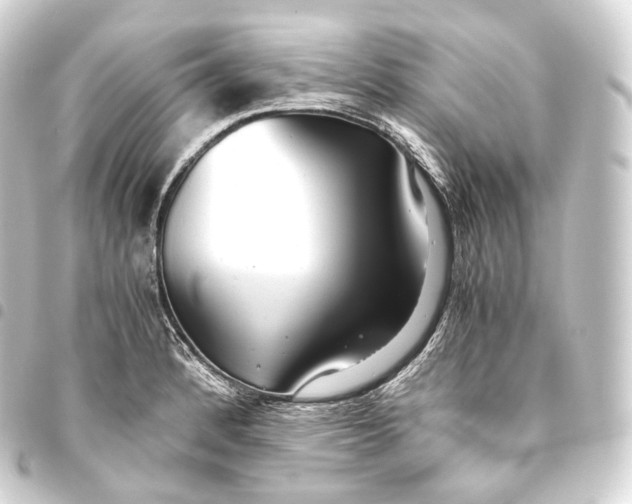 X0000093441184200711021048