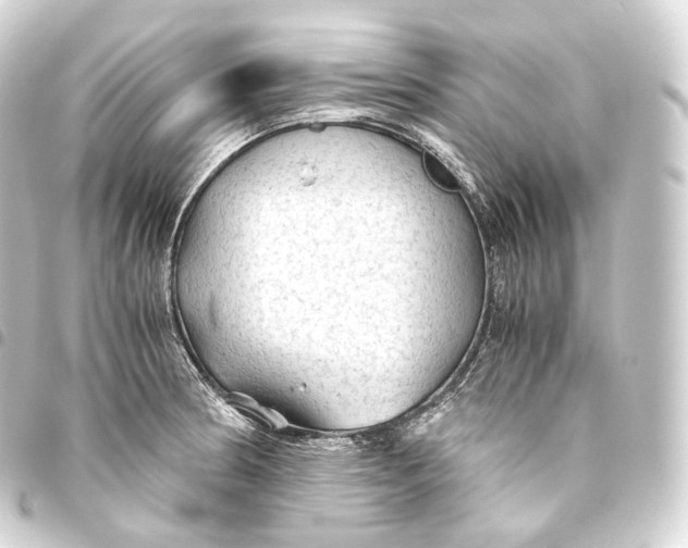 X0000093441186200711021048