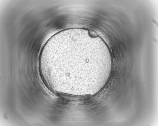 X0000093441187200711021048