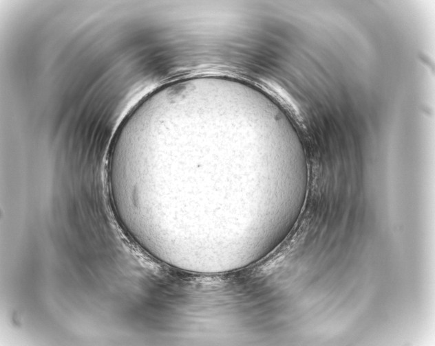 X0000093441190200711021048